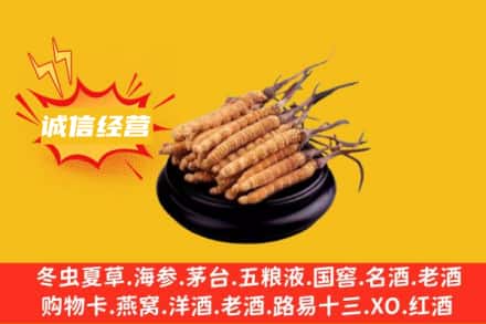 朗县回收冬虫夏草